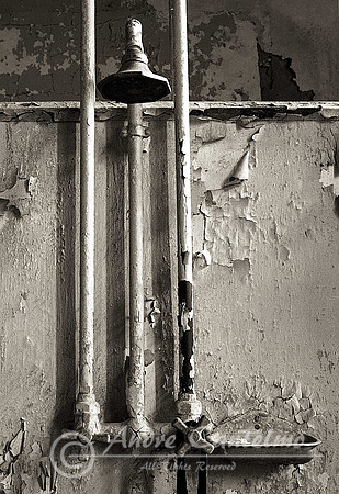 v750049_Shower Ellis Is_sm