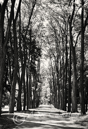 v750050_Pinchot Mansion_Penn