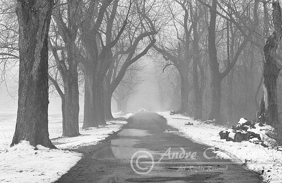 whitehill_man_AGC0090-2