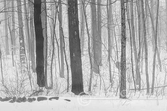 20160216-_AGC1292-Edit