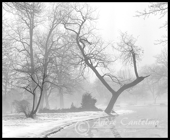 Memorial Pk. Maplewood, NJ