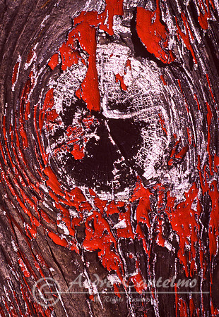 paint and knot-Edit