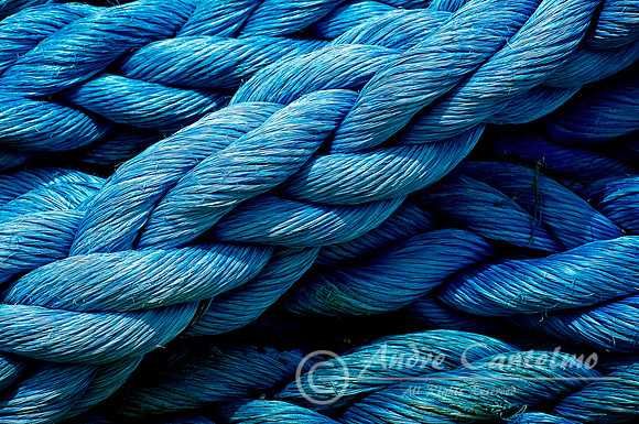 TEXTURE IN BLUE crop