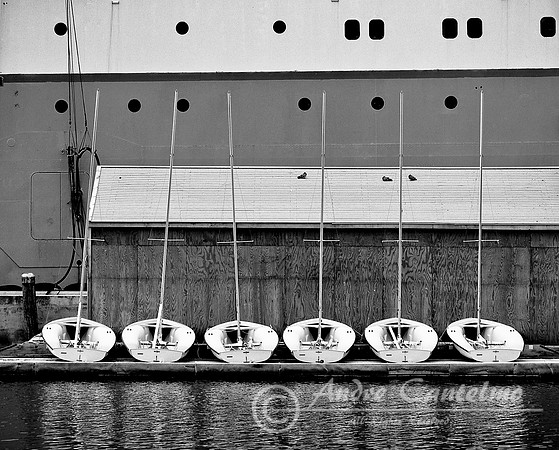 Nautical Design Castine, Me.