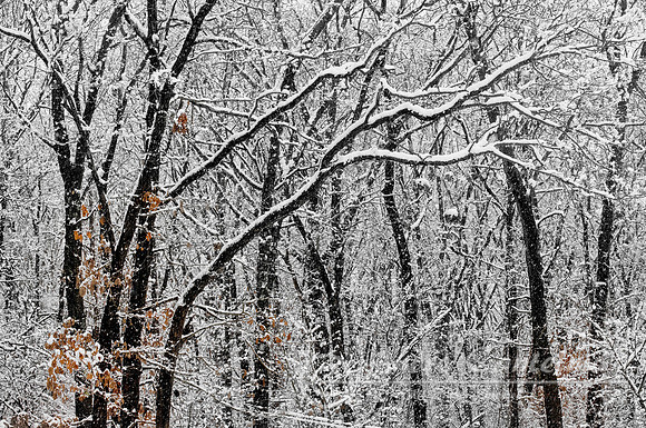 AGC0704_old bridge_nj_snow-Edit-Edit