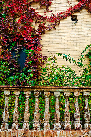 Officers Row, Gateway National Park, NJ