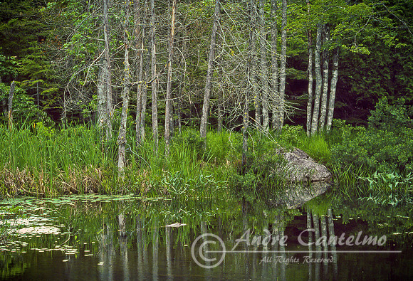 Baxter Park, Me