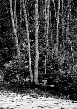 V750047acadia pk maine